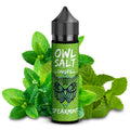 OWL SALT Longfill Spearmint